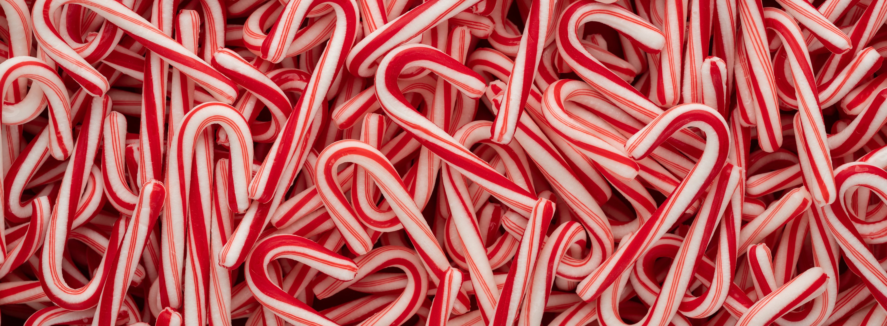 Candy Cane Panorama