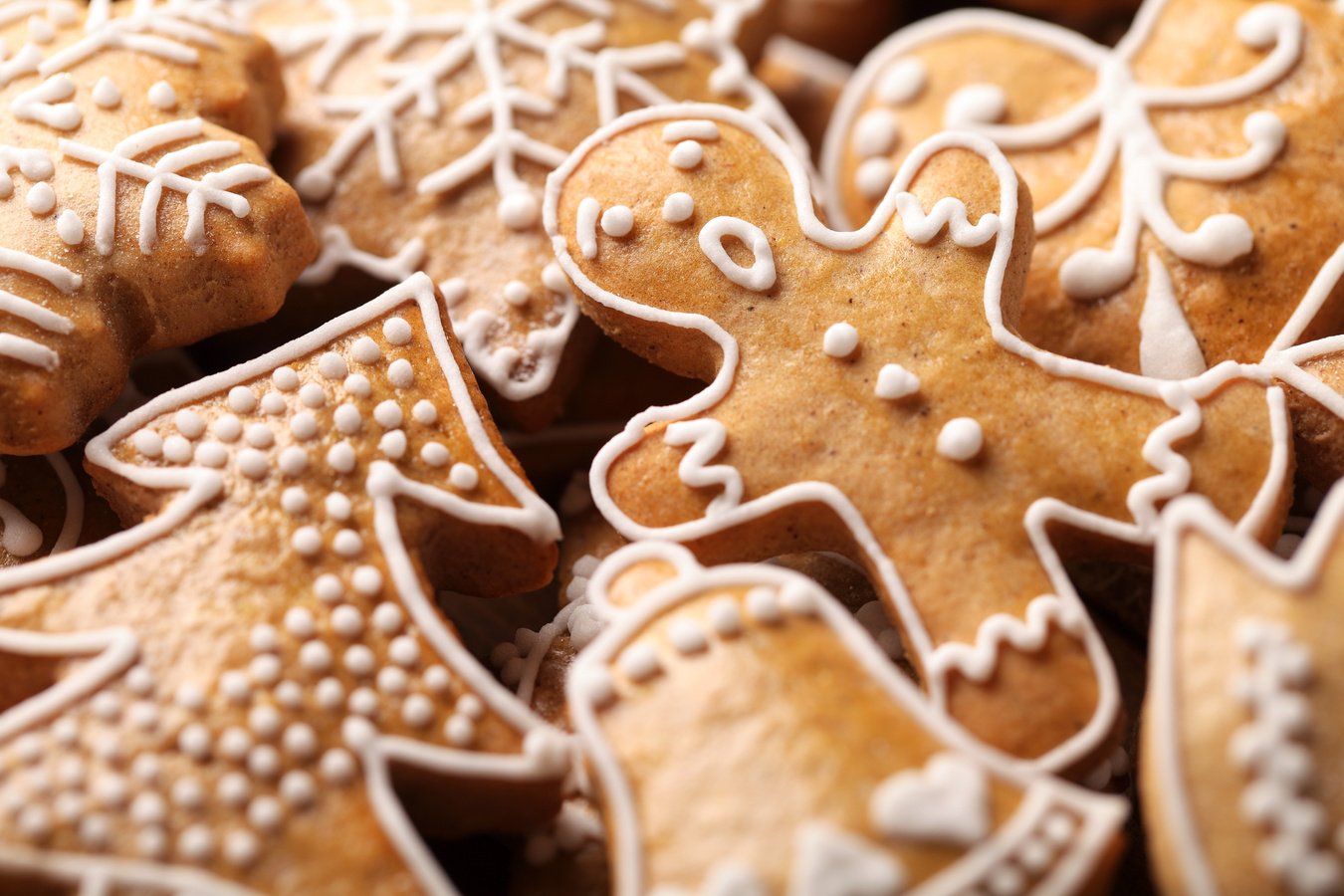 Gingerbread Cookies